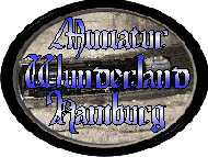 Minitatur-Wunderland in Hamburg. Ein Muss für jenen Modellbahnfan. 2004 konnten wir endlich die Anlage besuchen.